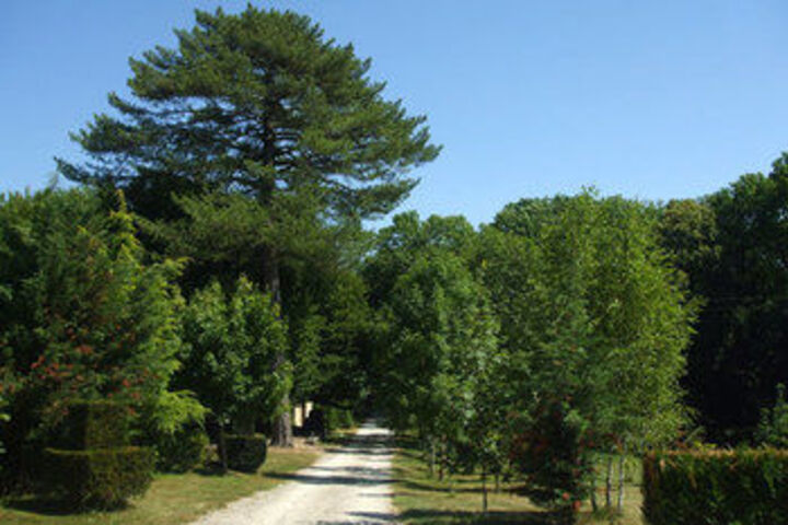 Property Grounds 20 of 31