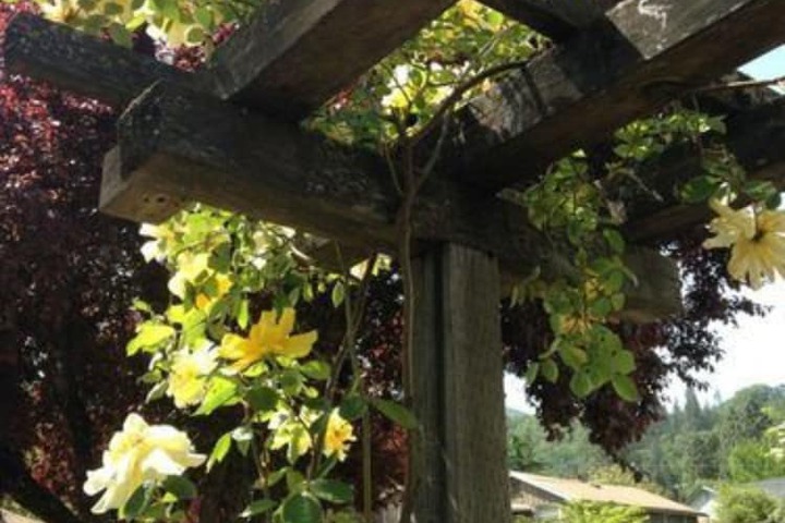 Hotel Exterior 132 of 152