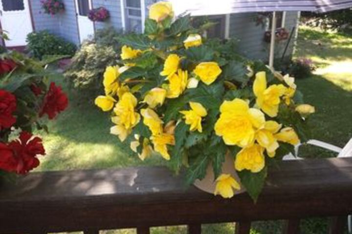 Property Grounds 57 of 60