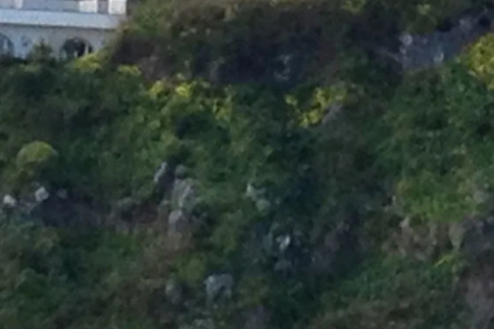General 2 of 11