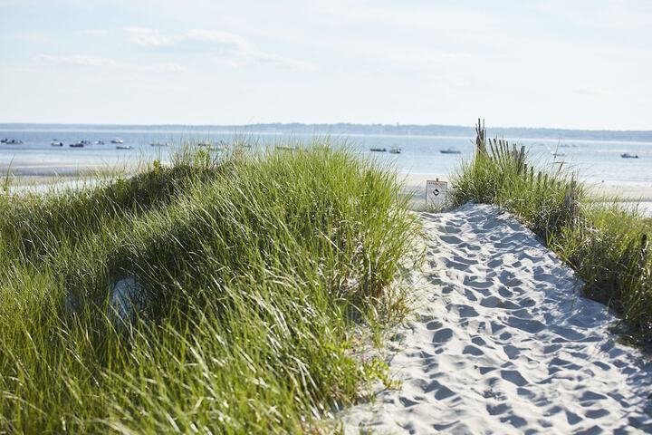 Beach 78 of 91