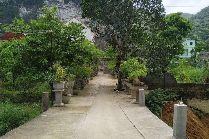 Property Grounds 17 of 25