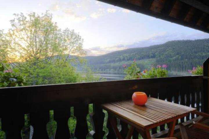 View from room