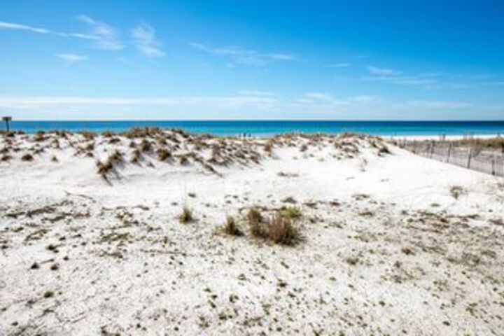 Beach 15 of 50