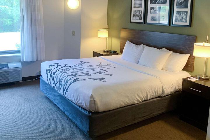 Queen Bed Accessible (10 of 18)