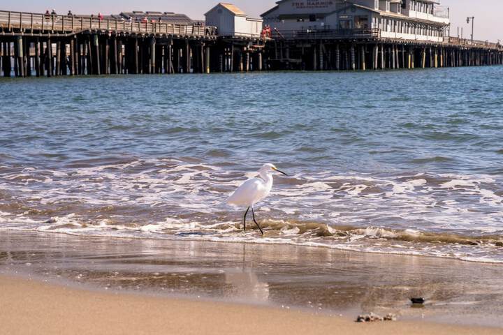 Beach 207 of 221