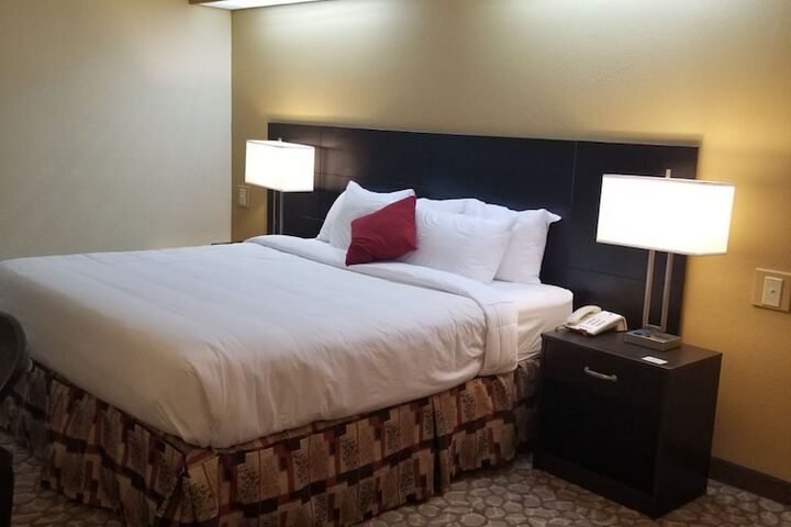 Room 4 of 19