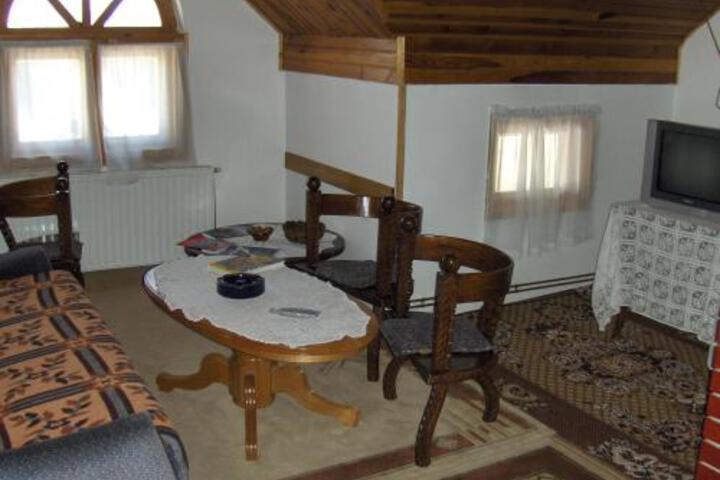 HOTEL JAVOR