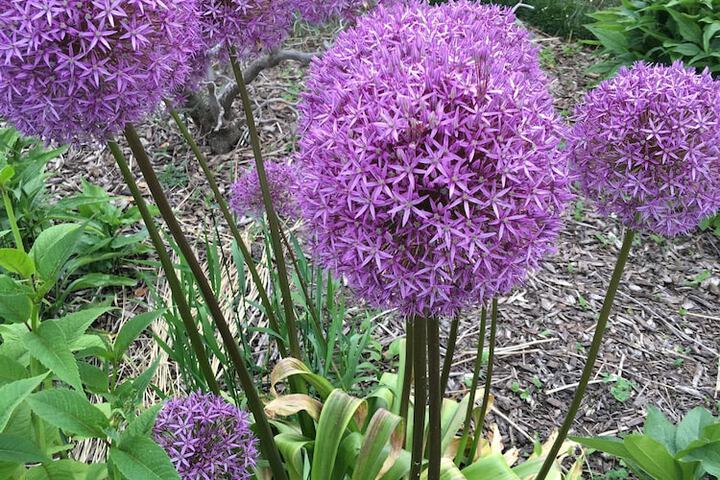 Hotel Exterior 30 of 33