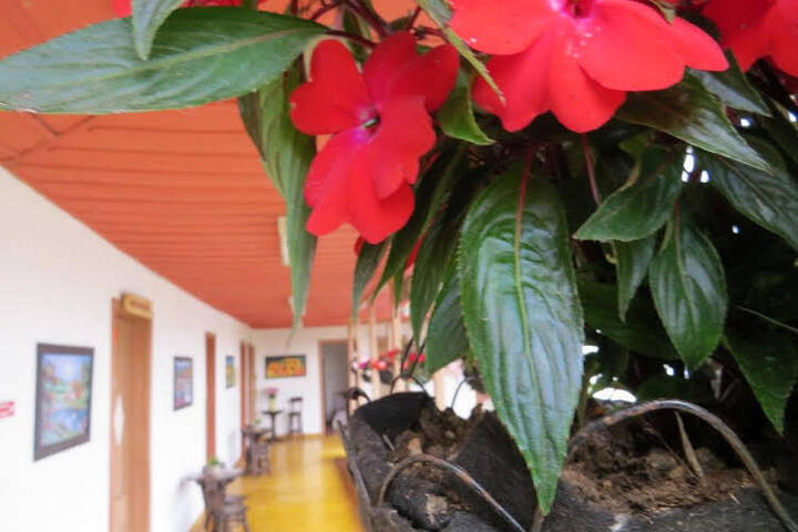 Finca Recreacional Marcelandia