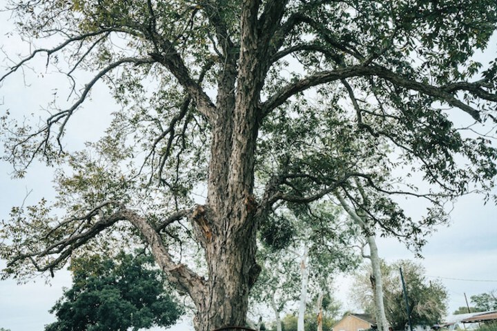 Property Grounds 18 of 26