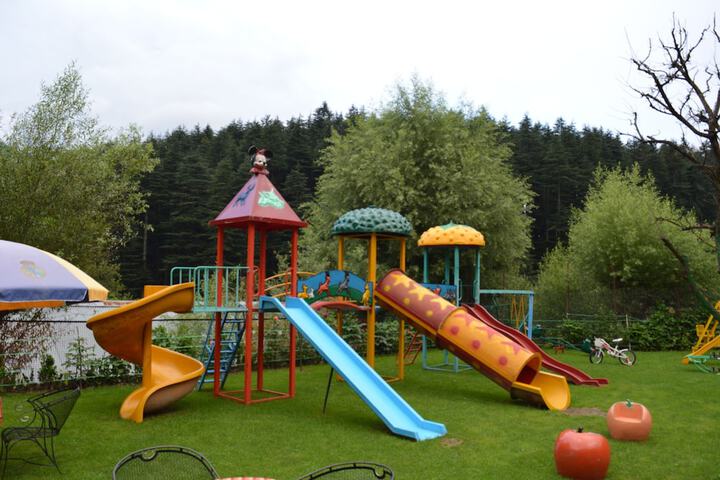 Childrens Activities 40 of 78