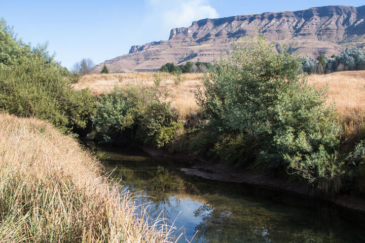 Property Grounds 78 of 92