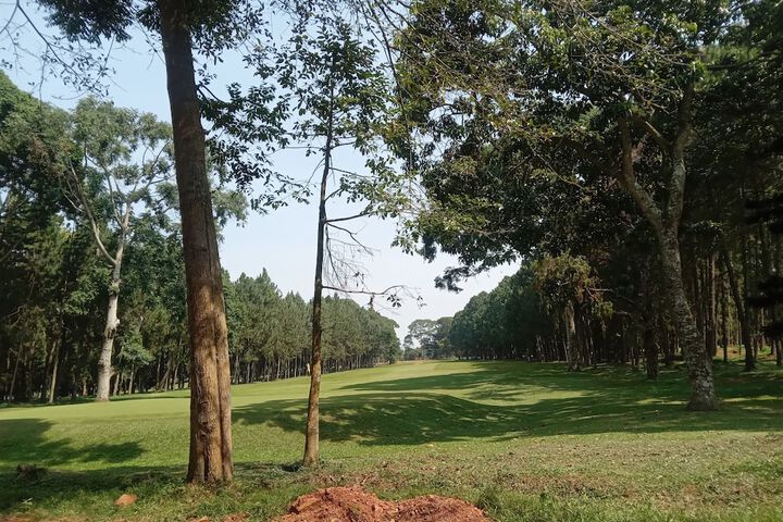 Golf 181 of 182