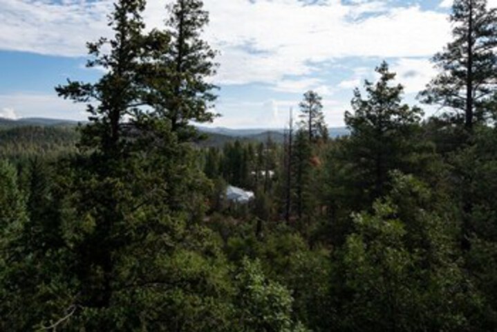 Property Grounds 23 of 39