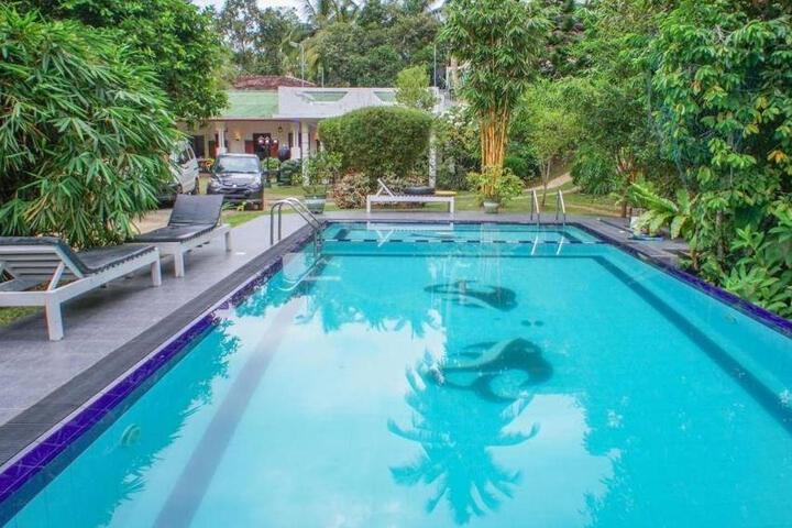 Hotel Pool