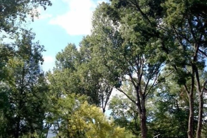 Property Grounds 32 of 38