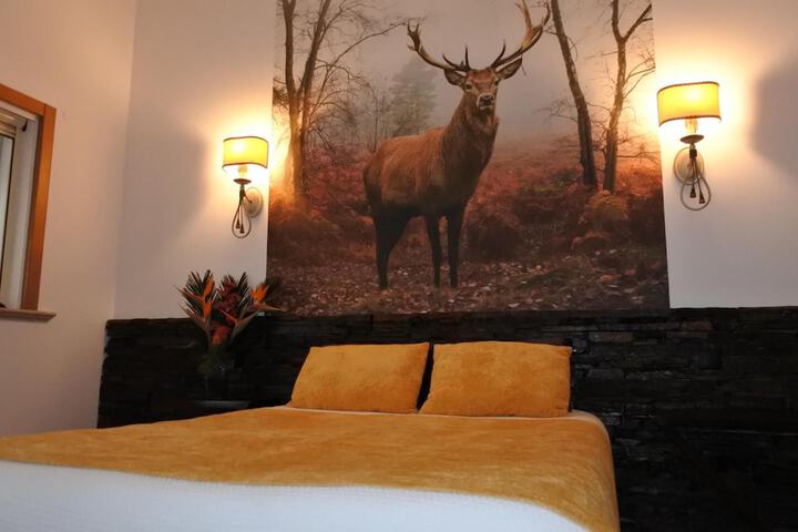 Room 8 of 55