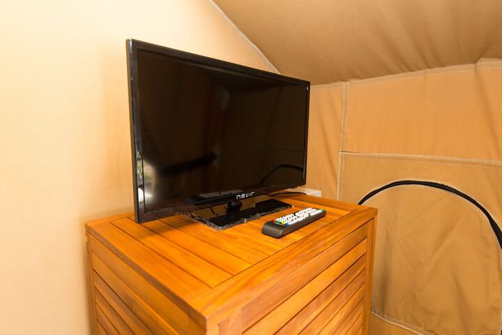 Room 7 of 61