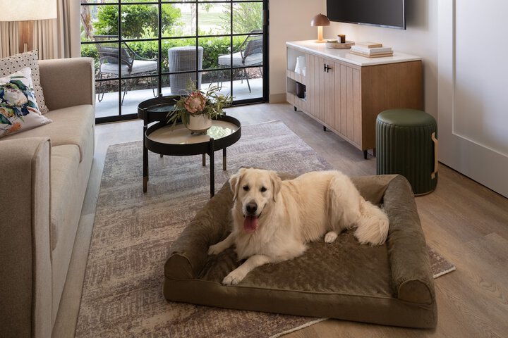 Pet-friendly