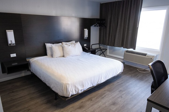 1 King Bed Pet Friendly Accessible (10 of 90)