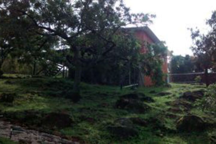 Property Grounds 41 of 43