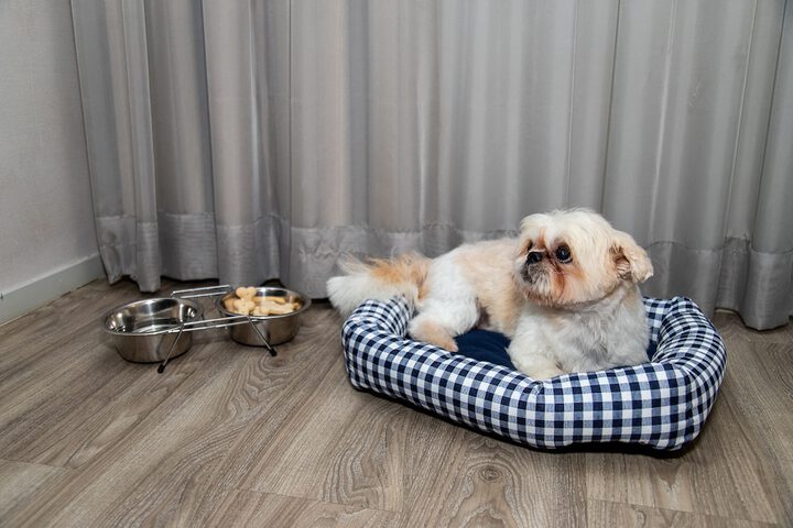 Pet Friendly 113 of 141