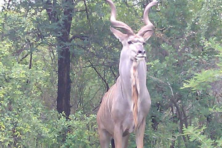 Property Grounds 17 of 28