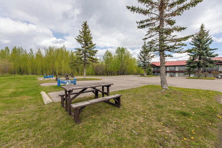 BBQ/picnic area