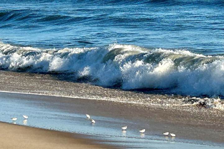 Beach 54 of 85