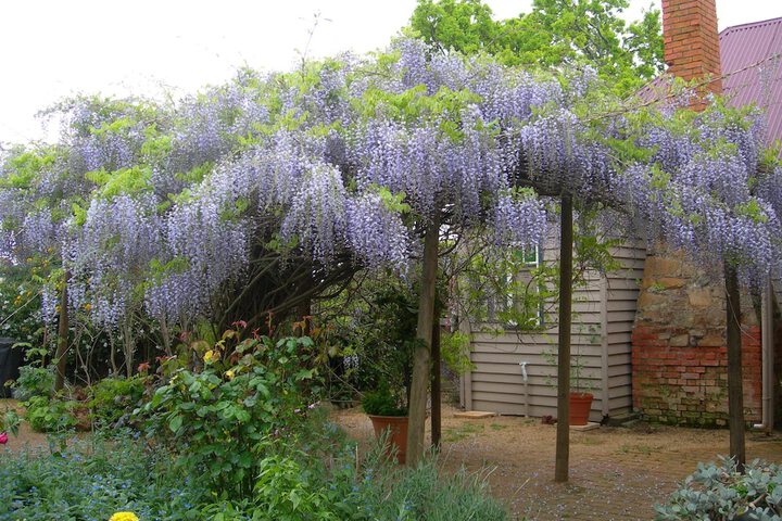 Hotel Exterior 33 of 38