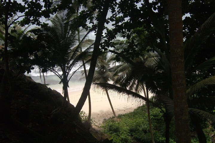 Beach 46 of 55