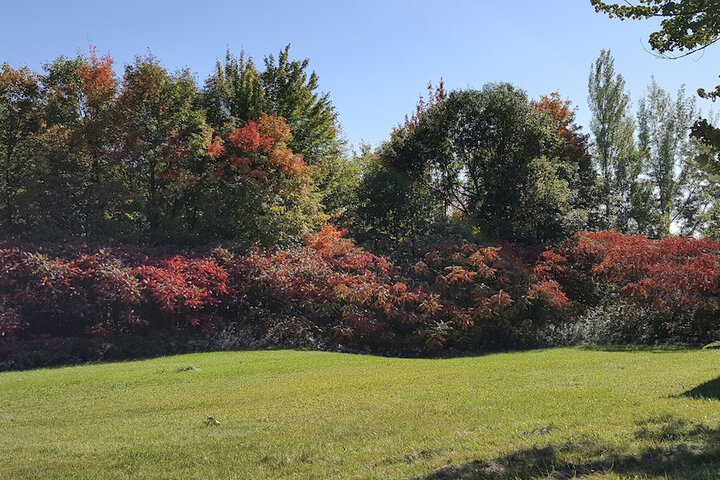 Hotel Exterior 35 of 43