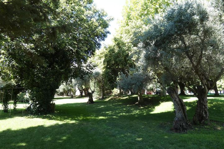 Property Grounds 35 of 41