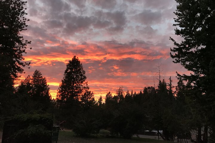 Property Grounds 58 of 80