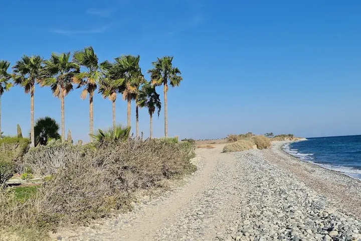 Beach 15 of 21