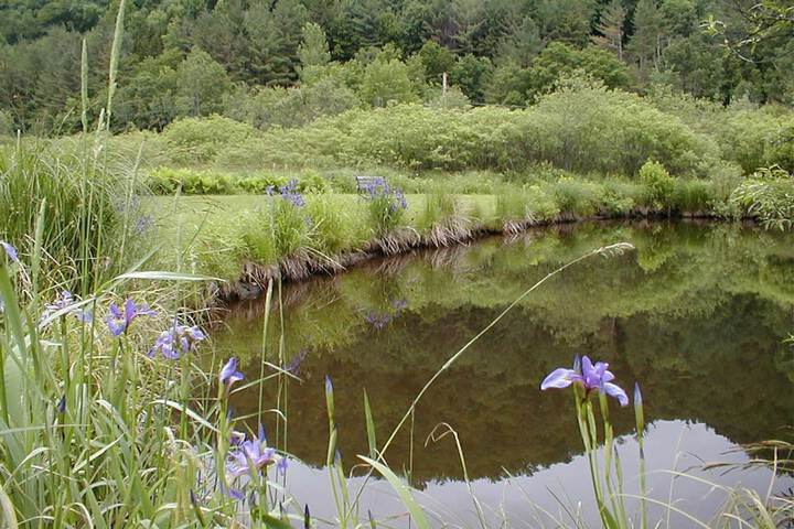 Property Grounds 19 of 32