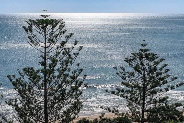 Beach 240 of 266