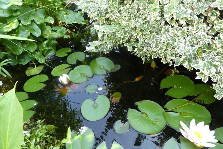 Spa and Wellness Pictures