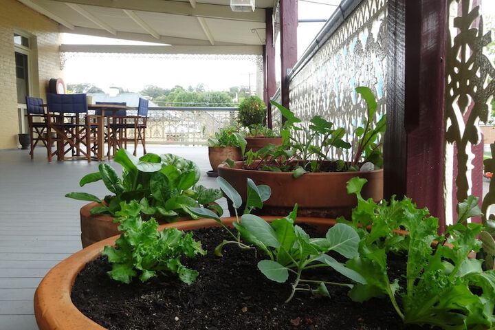 Terrace/Patio 27 of 29