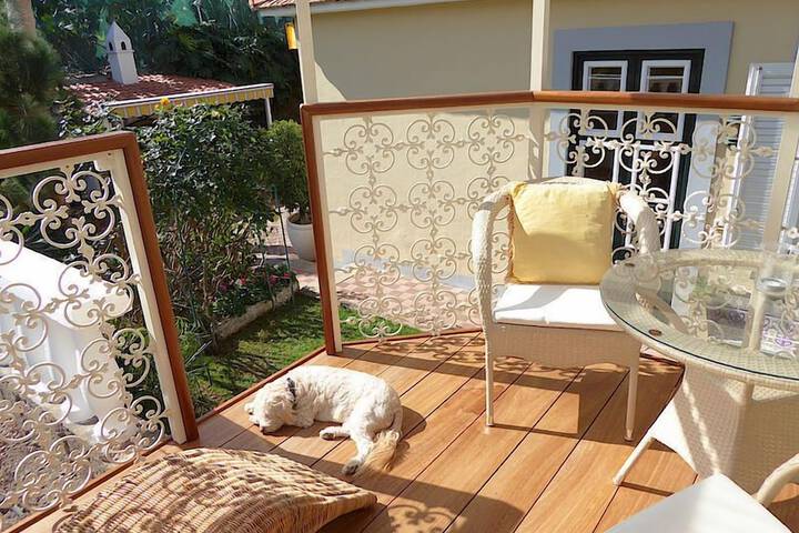 Terrace/Patio 19 of 51