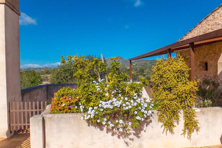 Terrace/Patio 57 of 124