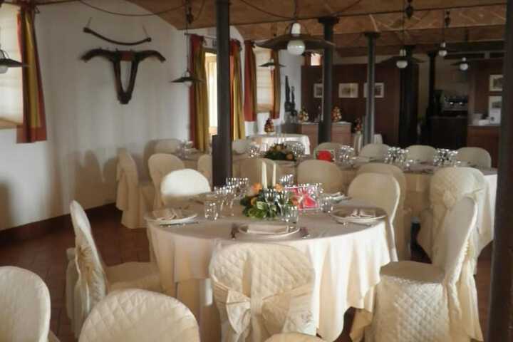 Dining 36 of 65
