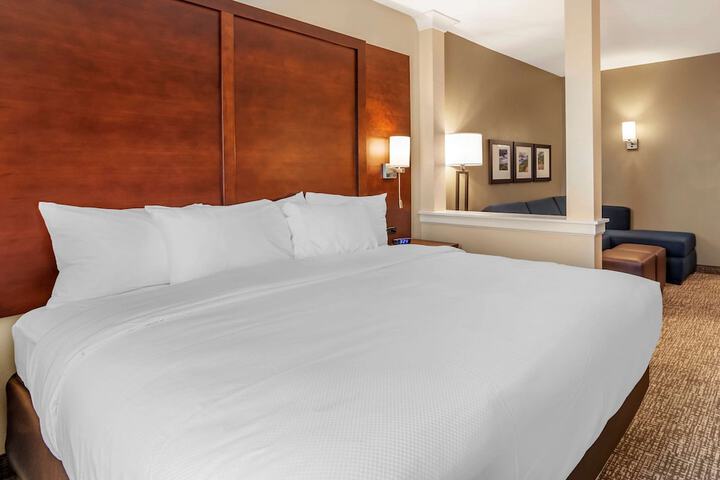 1 King Bed Accessible (10 of 13)