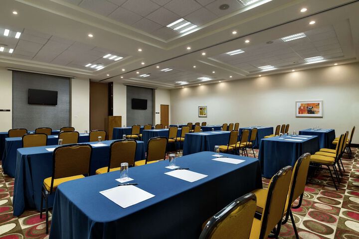 Meeting 25 of 29