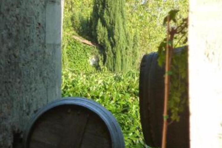 Fitness Center Photo