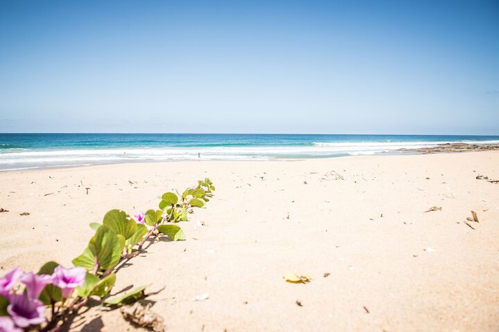 Beach 150 of 167