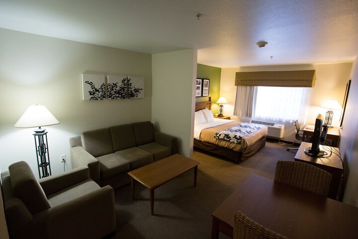 1 King Bed Suite (9 of 9)
