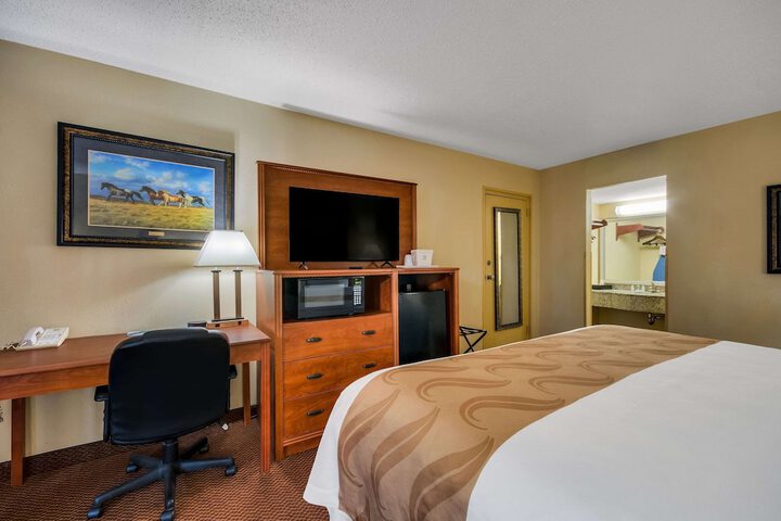 1 King Bed (5 of 9)