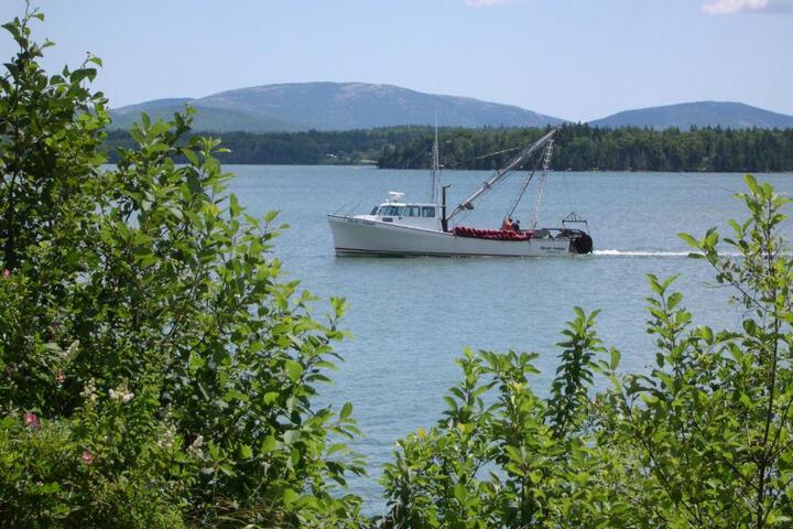 Narrows Too Camping Resort Cabin 6 in Trenton, ME